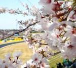 Japon Grand Prix İzleme Rehberi ile Suzuka’da Formula 1 heyecanı!