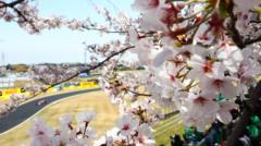 Japon Grand Prix İzleme Rehberi ile Suzuka’da Formula 1 heyecanı!