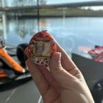 McLaren fabrikasında Tamagotchi ile eğlenen takım personeli