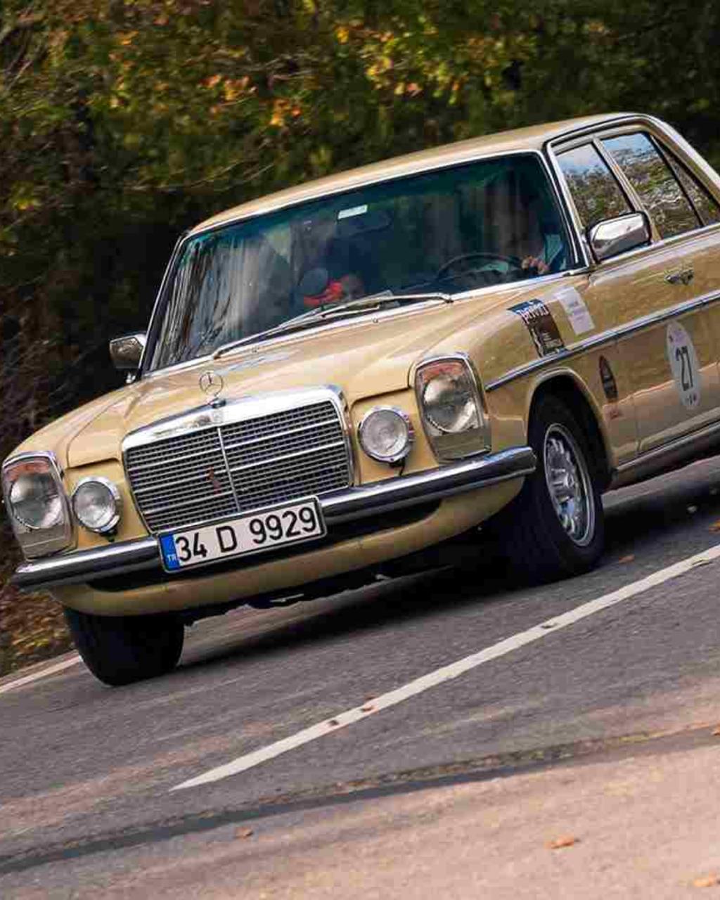 Altın rengi Mercedes-Benz W115 ormanlık etapta — Klasik Otomobil Şampiyonası Türkiye 2026